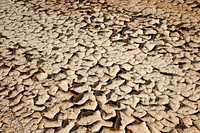desert landscape of Namib at Sossusvlei