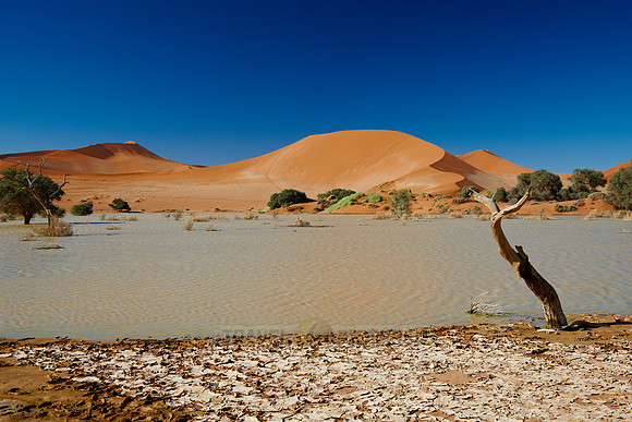 desert landscape of Namib at Sossusvlei