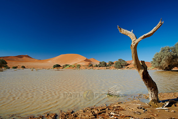 desert landscape of Namib at Sossusvlei