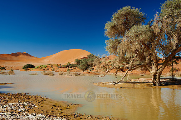 desert landscape of Namib at Sossusvlei