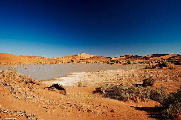 desert landscape of Namib at Sossusvlei