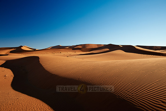 dunes in desert landscape of Namib