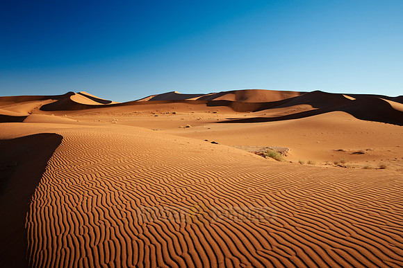 dunes in desert landscape of Namib