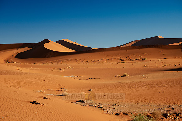 dunes in desert landscape of Namib