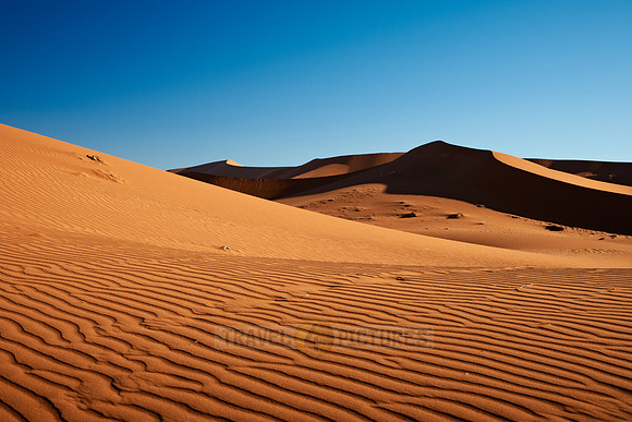 dunes in desert landscape of Namib