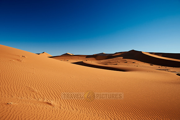 dunes in desert landscape of Namib