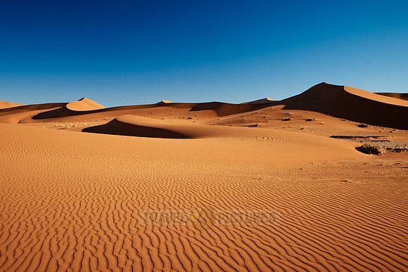 dunes in desert landscape of Namib
