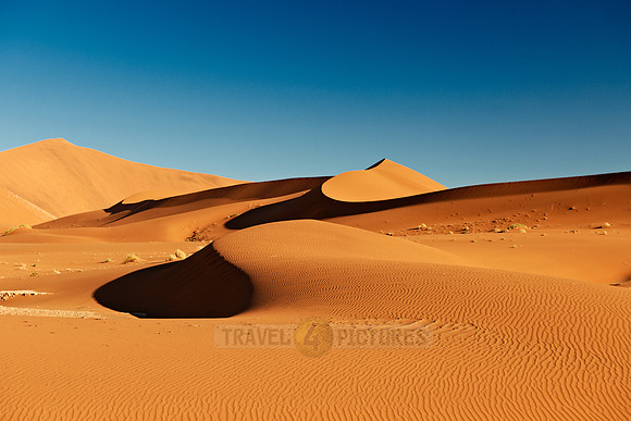 dunes in desert landscape of Namib