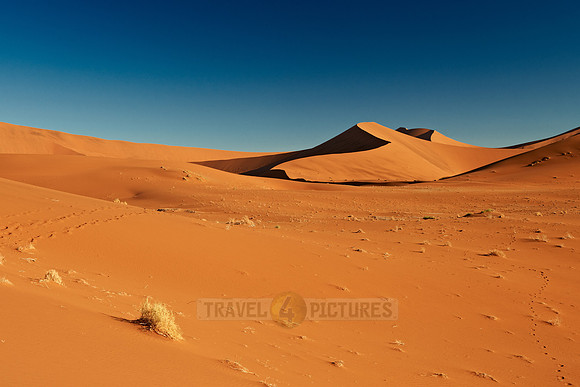dunes in desert landscape of Namib