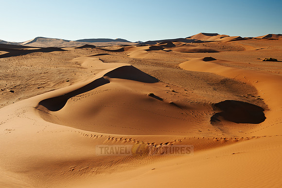 dunes in desert landscape of Namib