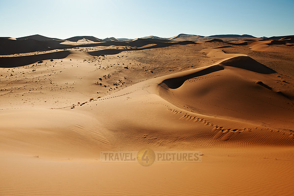 dunes in desert landscape of Namib