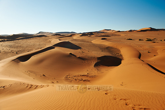 dunes in desert landscape of Namib
