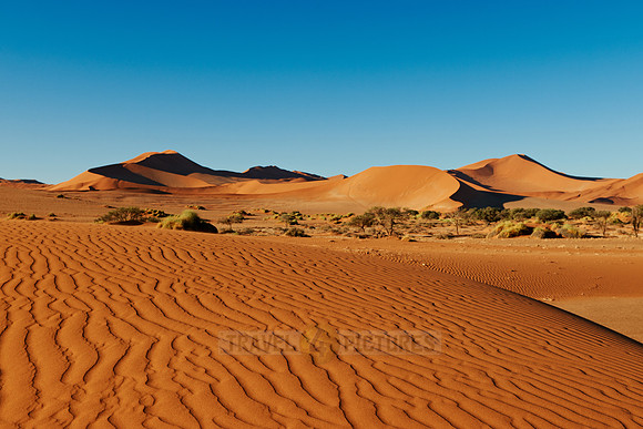 dunes in desert landscape of Namib