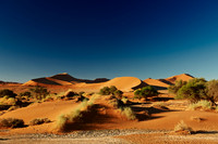 desert landscape of Namib at Sossusvlei