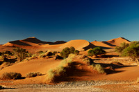 desert landscape of Namib at Sossusvlei