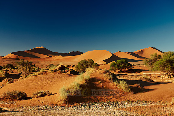 desert landscape of Namib at Sossusvlei