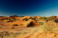 desert landscape of Namib at Sossusvlei