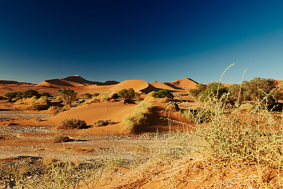 desert landscape of Namib at Sossusvlei