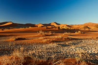 desert landscape of Namib at Sossusvlei