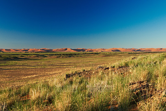 desert landscape of Namib at Sossusvlei