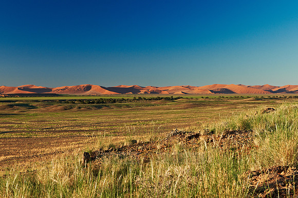 desert landscape of Namib at Sossusvlei