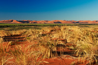 desert landscape of Namib at Sossusvlei