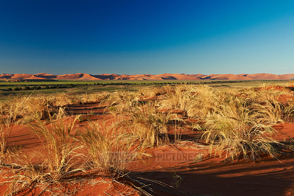 desert landscape of Namib at Sossusvlei