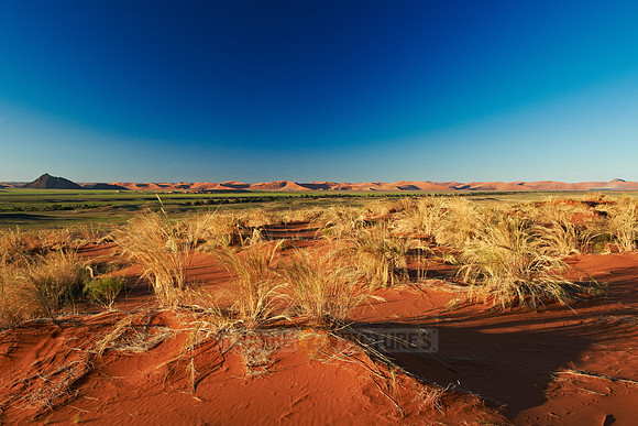 desert landscape of Namib at Sossusvlei