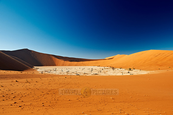 Deadvlei, desert landscape of Namib at Sossusvlei