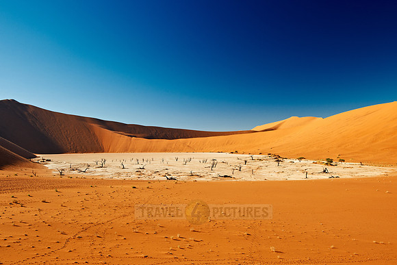Deadvlei, desert landscape of Namib at Sossusvlei