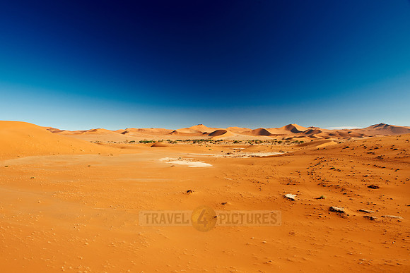 desert landscape of Namib at Sossusvlei