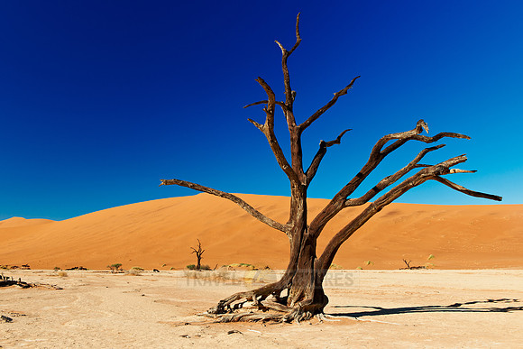 Deadvlei, famous desert landscape of Namib