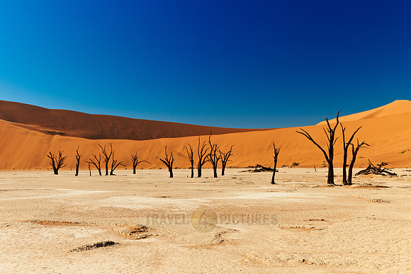 Deadvlei, famous desert landscape of Namib