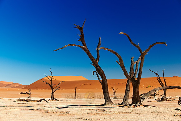 Deadvlei, famous desert landscape of Namib