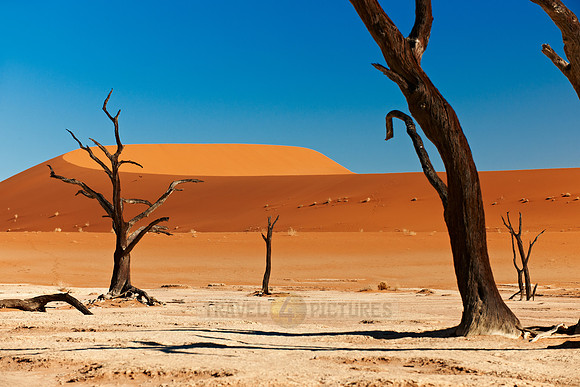 Deadvlei, famous desert landscape of Namib