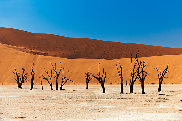 Deadvlei, famous desert landscape of Namib