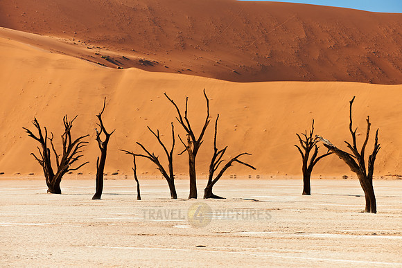 Deadvlei, famous desert landscape of Namib
