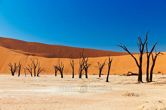Deadvlei, famous desert landscape of Namib