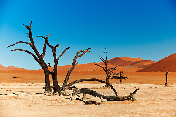 Deadvlei, famous desert landscape of Namib