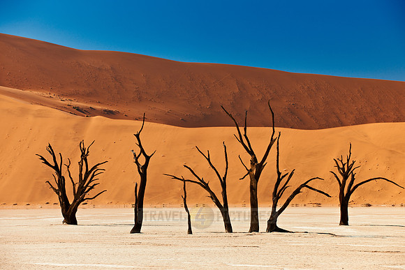 Deadvlei, famous desert landscape of Namib