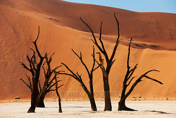 Deadvlei, famous desert landscape of Namib