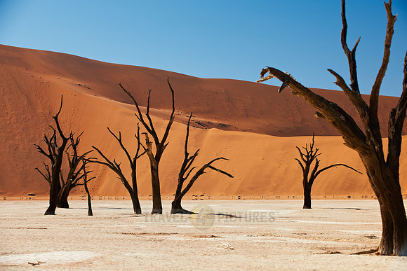 Deadvlei, famous desert landscape of Namib