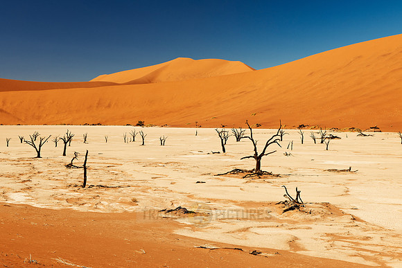 Deadvlei, famous desert landscape of Namib