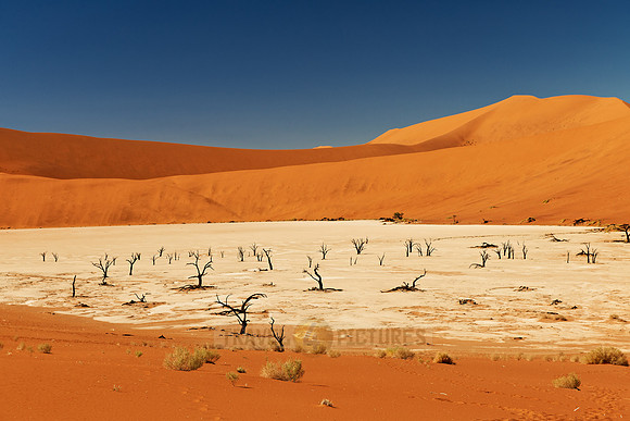 Deadvlei, famous desert landscape of Namib