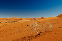 desert landscape of Namib at Sossusvlei