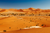 desert landscape of Namib at Sossusvlei