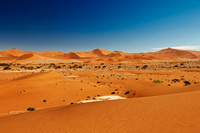 desert landscape of Namib at Sossusvlei