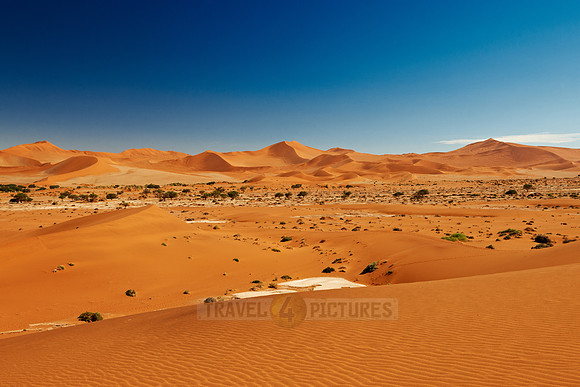 desert landscape of Namib at Sossusvlei