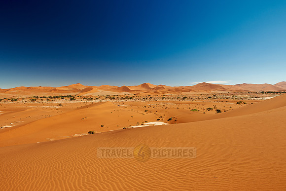 desert landscape of Namib at Sossusvlei