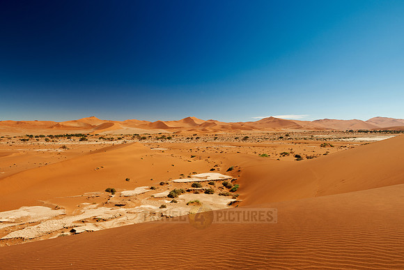 desert landscape of Namib at Sossusvlei